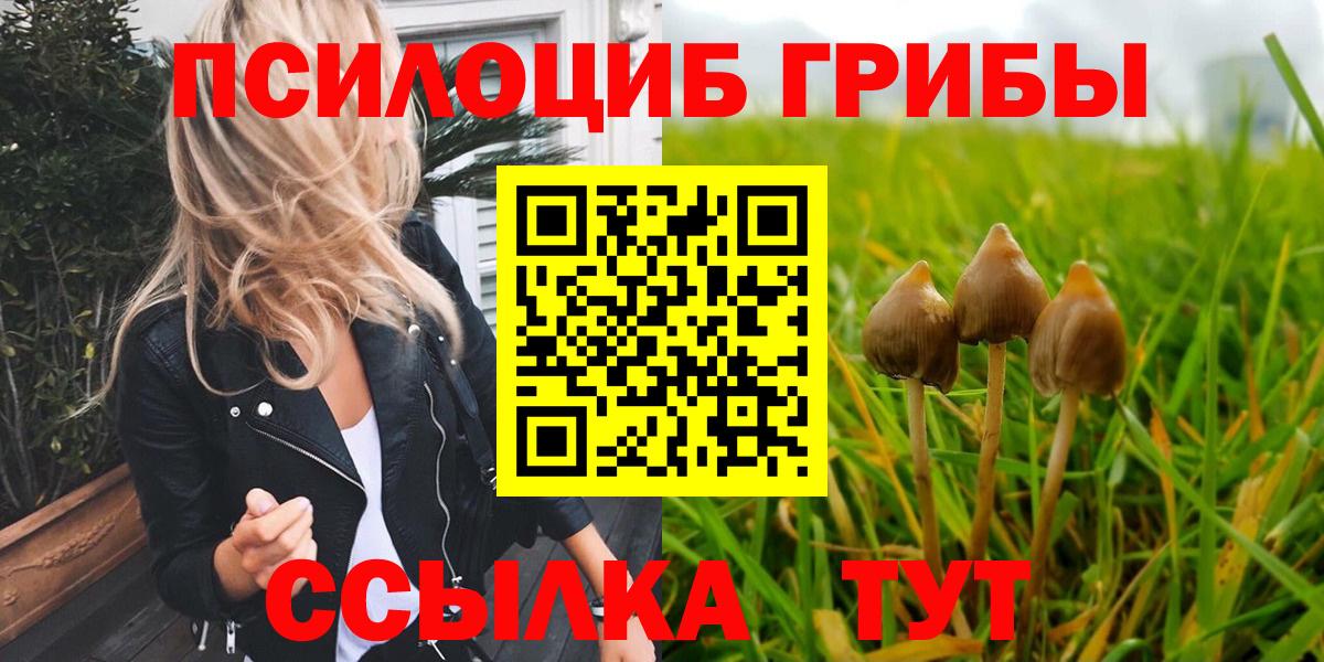 Галлюциногенные грибы Psilocybine cubensis Скопин