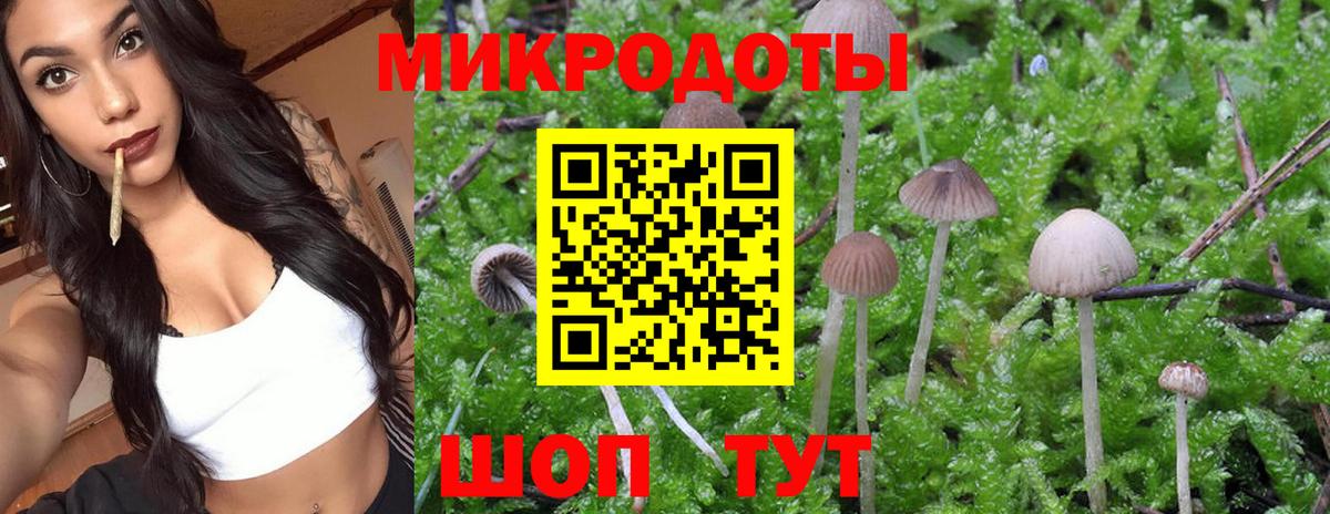 Галлюциногенные грибы мухоморы  Вход с VPN  Скопин 