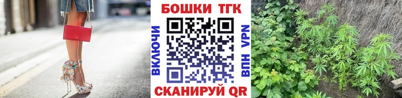 ссылка на мегу ТОР купить наркотик Скопин Канабис гибрид